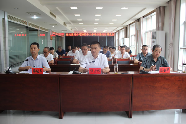 隴運集團(tuán)公司召開2023年上半年經(jīng)濟(jì)運行調(diào)度會